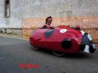 Click to enlarge Coccinella 003.jpg